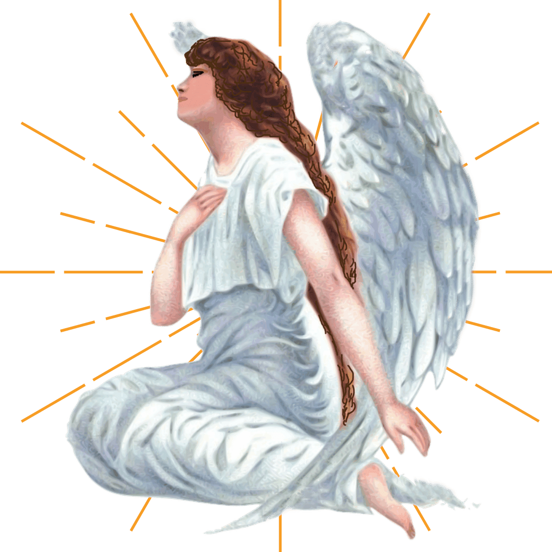 Let Go Of Your Fear For You Are A Host And You Need To Control All The Pests